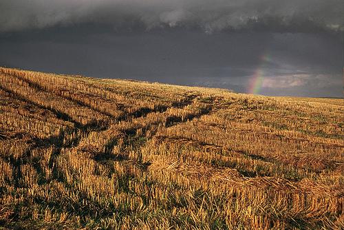 ������� - ���������